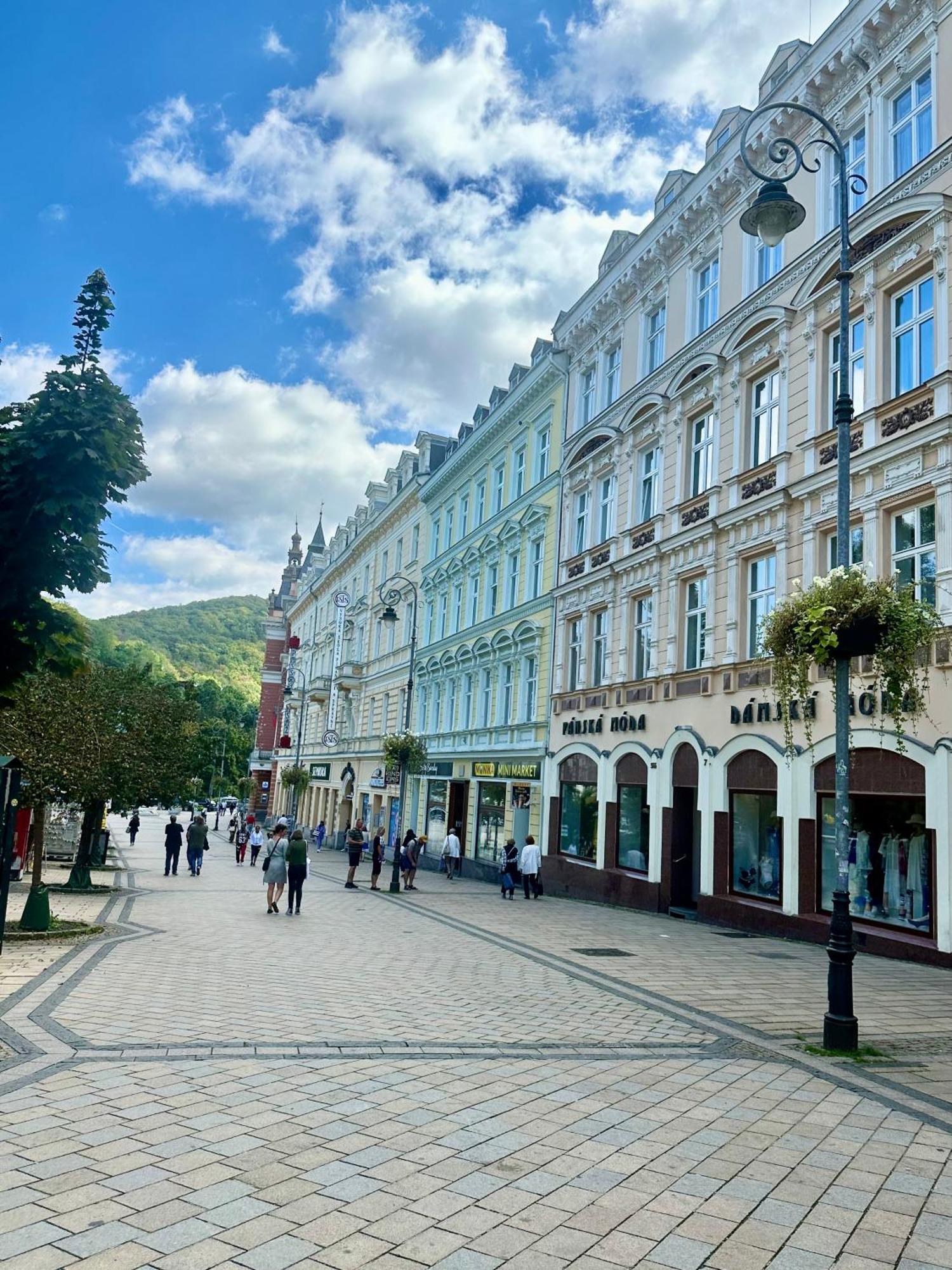 Th Apartment Karlovy Vary